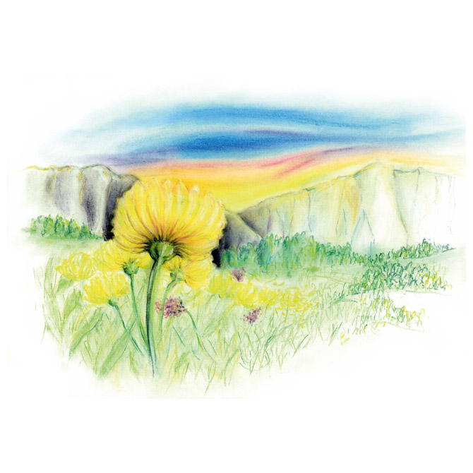 Pastele suhe 12boja Design Journey Staedtler - Slika 3